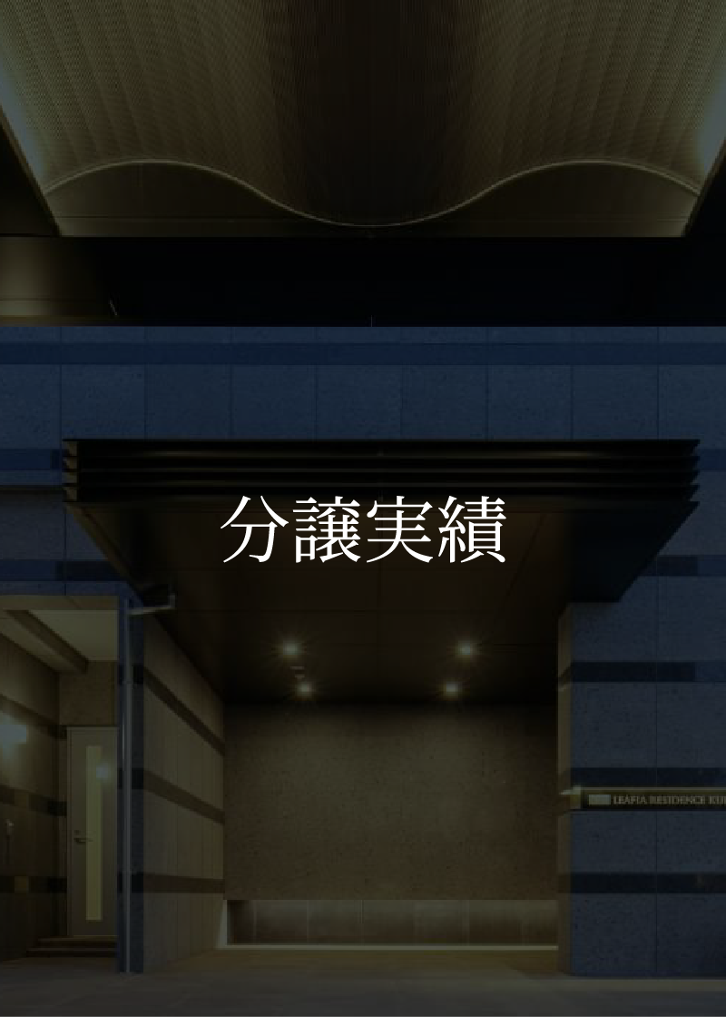 分譲実績
